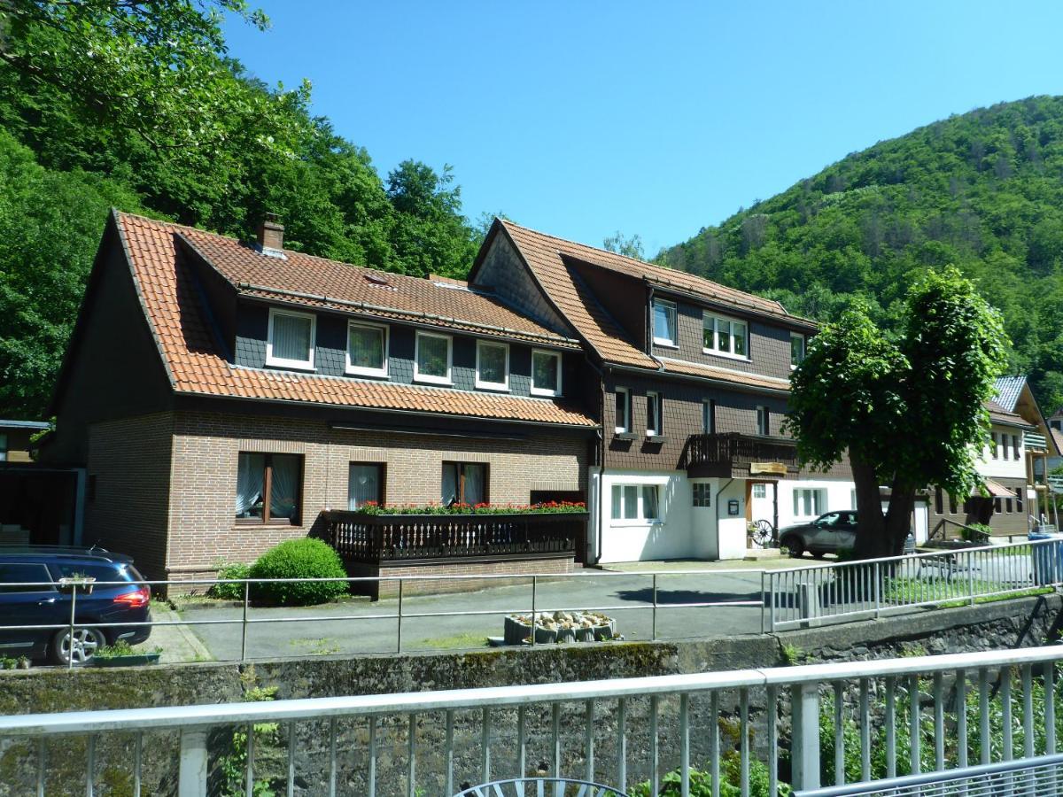 Harzapart 3 Hirsch *